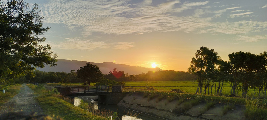 Pemandangan sawah yang sangat memukau, indah dan sejuk , sangat memanjakan mata